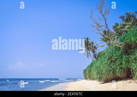 Küste des Indischen Ozeans in Sri Lanka Stockfoto