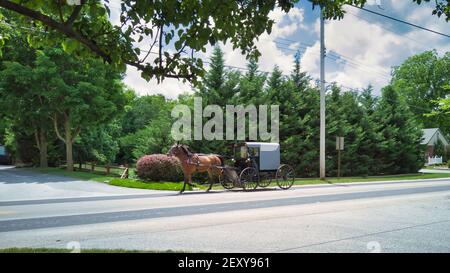 Blick auf ein Amish Horse und Buggy Trotting Down A Landstraße Stockfoto