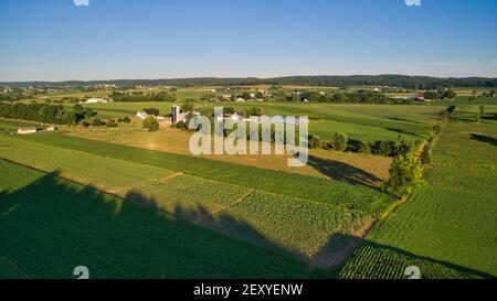 Ein Luftblick auf ein Amish Ackerland mit Ernten und Kühe an einem sonnigen Nachmittag Stockfoto