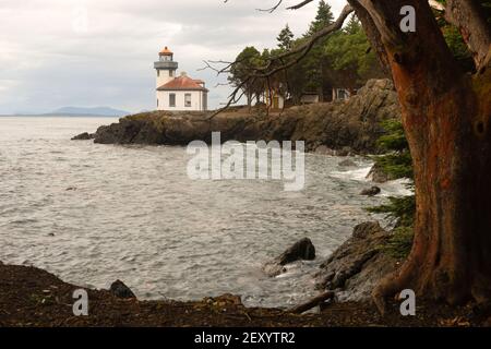 Madrona Tree Lime Kiln Lighthouse San Juan Island Haro Strait Stockfoto