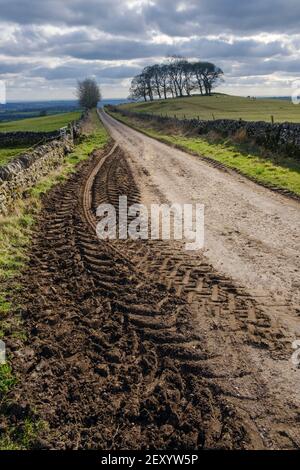 Schlammige Traktorspuren, Gag Lane, Thorpe, Peak District National Park, Derbyshire Stockfoto