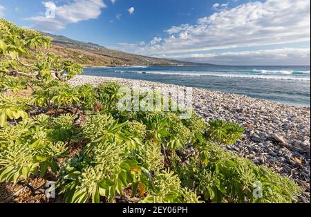 Küstenlinie bei Saint-Leu (Westküste der Insel La Reunion) Stockfoto