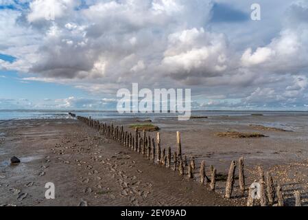 Landschaft im Nationalpark Wattenmeer mit Holzgroynes, Harlesiel, Niedersachsen, Deutschland, Europa Stockfoto