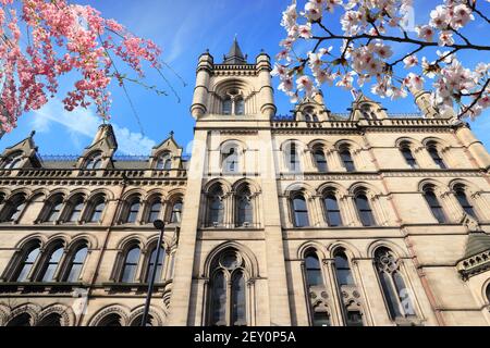 Manchester City in England (UK). Rathaus. Stockfoto
