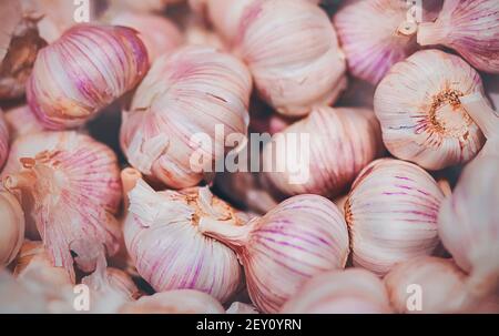 Zwiebeln von reifen Knoblauch sind im Lebensmittelgeschäft in großen Mengen. Eine köstliche Zutat. Eine reiche Ernte von Gemüse. Stockfoto