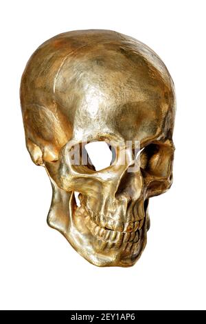 Das Skelett eines menschlichen Schädels ist mit Goldfarbe gemalt, isoliert auf weißem Hintergrund, Nahaufnahme. Stockfoto
