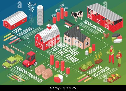 Isometrische Farm horizontale Flussdiagramm Zusammensetzung mit Infografik Symbole Grafik Symbole Editierbare Textunterschriften und Vektorgrafiken für Farmstead-Bilder Stock Vektor