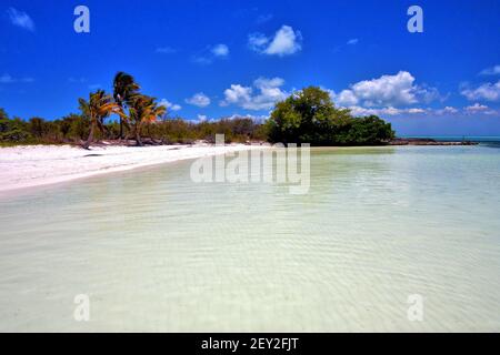 Und Rock in der Entspannung von isla contoy mexiko Stockfoto