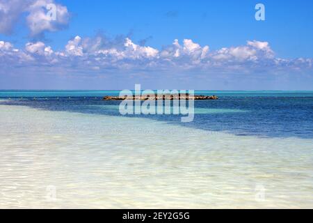 Küste und Felsen in der blauen Lagune Entspannen Sie sich auf isla contoy mexiko Stockfoto