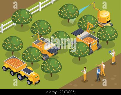 Landwirtschaftliche Roboter Obstgarten Ernte isometrische Zusammensetzung mit automatisierten Maschinen Kommissionierung Obst und Bewässerung Bäume Vektor-Illustration Stock Vektor