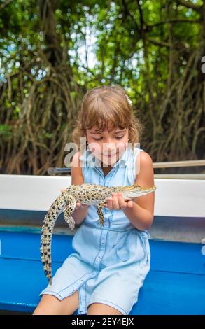 Das Kind hält ein kleines Krokodil in seinen Händen. Selektive konzentrieren. Natur. Stockfoto