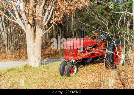 Ein kleiner, altmodischer, roter Bauernhof Traktor geparkt entlang einer Landstraße, zwischen den Bäumen, Herbst. Der Traktor wurde mit Weihnachtsbeleuchtung aufgereiht.