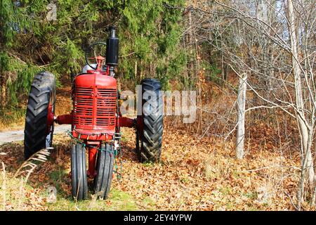 Ein kleiner, altmodischer, roter Bauernhof Traktor geparkt entlang einer Landstraße, zwischen den Bäumen, Herbst. Der Traktor wurde mit Weihnachtsbeleuchtung aufgereiht.