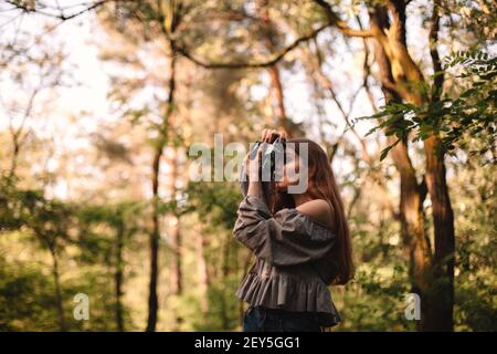 Junge Frau fotografiert mit Kamera, während sie im Sommerwald steht Stockfoto