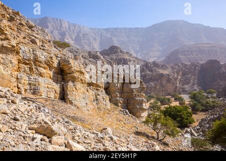 Versteckte Oase in Jabel Jais Bergkette, Blick auf die Landschaft mit grünen üppigen Palmen und Akazien, felsige Berge im Hintergrund. Stockfoto