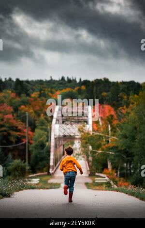 Junge, der im Herbst auf eine Brücke in einer Baumgrenze zuläuft Saison Stockfoto