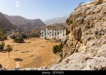 Versteckte Oase in Jabel Jais Bergkette, Landschaft mit grünen üppigen Palmen und gebrochenen Palmenstämmen, felsige Berge im Hintergrund. Stockfoto