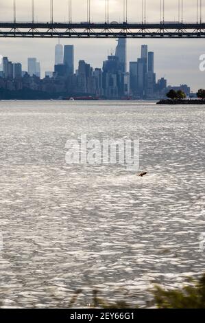 NYC Skyline von Norden der George Washington Bridge aus gesehen, als der Arm eines Schwimmers aus dem Hudson Wasser kommt. Stockfoto