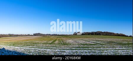 Blauer Himmel über lückenigem Schnee auf Feldern in Hampshire, England. Hochauflösendes Panoramabild. Stockfoto