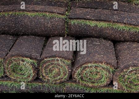 Rollen von neuem Gras auf einem Haufen Stockfoto