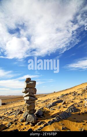 Bush altes Fossil in der Wüste sahara und Felsen Stockfoto