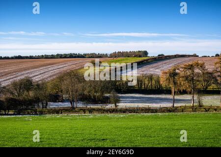 Felder der ländlichen Landschaft von Hampshire unter blauem Winterhimmel. England. Stockfoto