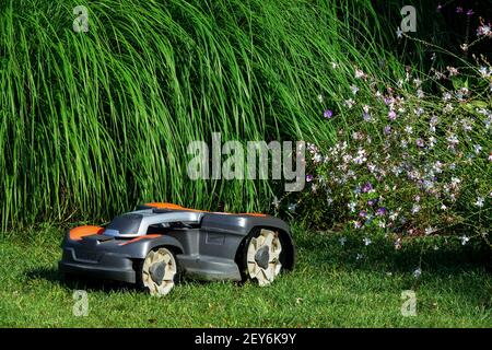 Rasenmäher Mähroboter Mähen Rasengarten Mähen Grasrand, Mähroboter Rasenmäher kleiner Garten Stockfoto