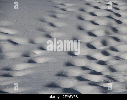 Schritte im Schnee Weglöcher im Schnee von jemandem, der zu Fuß in tiefem Schnee im Freien im Schnee an sonnigen, kalten Tagen geht, werfen Schatten in das Trittloch Stockfoto