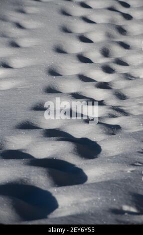 Schritte im Schnee Weglöcher im Schnee von jemandem, der zu Fuß in tiefem Schnee im Freien im Schnee an sonnigen, kalten Tagen geht, werfen Schatten in das Trittloch Stockfoto