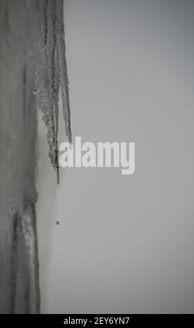 Nahaufnahme der vertikalen Eisfläche am hängenden Eiszapfen, bei dem ein Tropfen Wasser aus dem hängenden Eiszapfen auf der linken Seite des Rahmens fällt Stockfoto