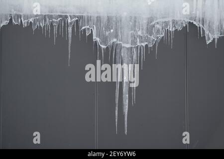 Eiszapfen, die vom Dach eines grauen Gebäudes hängen, klares gefrorenes und transparentes Eis, das einen leeren Raum für die Art mit grauem Hintergrund einfriert Stockfoto