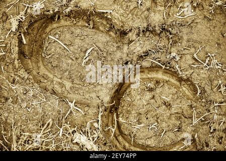 Spuren von Pferdeschuhen im Schlamm Stockfoto