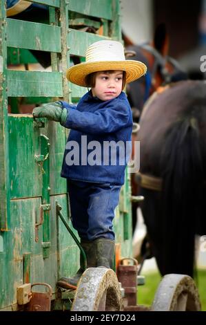 Amish Junge auf Waggon in Sugarcreek und Millersburg stehen Ohio, OH Stockfoto