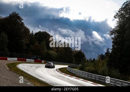 55 Boldizs Bence (hun), Zengo Motorsport, Cupra Leon Competicion TCR, Aktion beim FIA WTCR Rennen 2020, 2nd Runde des FIA Tourenwagen-Weltcups 2020, auf der Nürburgring Nordschleife, vom 24. Bis 25. September 2020 in Nurbug, Deutschland - Foto Clément Marin / DPPI Stockfoto