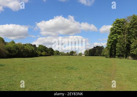 Panoramablick über eine weite Wiese im Frühling in Hertfordshire Stockfoto