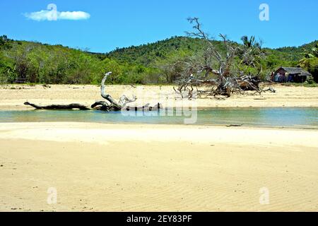 Nosy Be Beach Seegras in indian Ocean House Stockfoto