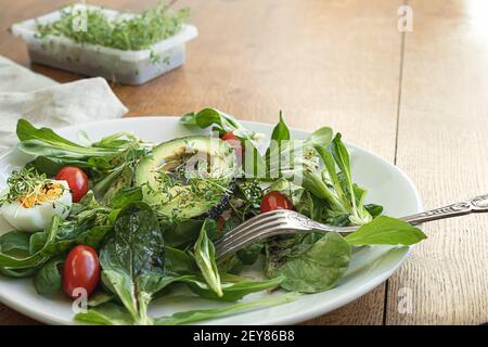 Gesunde Ernährung mit Microgreens - Avocado, Ei, grüner Salat, Kirschtomaten und Brunnenkresse sprießen in einem weißen Teller auf einem Holztisch Stockfoto