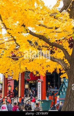 Gläubige vor dem Gokuden im Sensoji-Tempel Asakusa Tokyo. Stockfoto