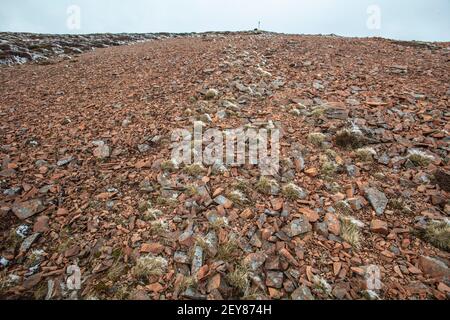 Gemusterter Boden an den Hängen des Tinto Hill in Lanarkshire, Schottland. Stockfoto