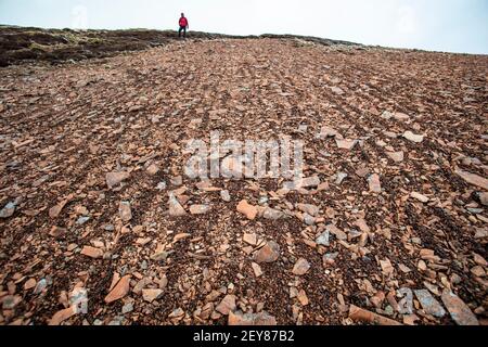 Gemusterter Boden an den Hängen des Tinto Hill in Lanarkshire, Schottland. Stockfoto