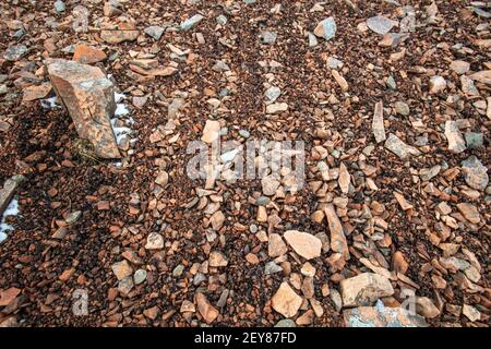 Gemusterter Boden an den Hängen des Tinto Hill in Lanarkshire, Schottland. Stockfoto