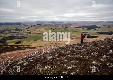 Gemusterter Boden an den Hängen des Tinto Hill in Lanarkshire, Schottland. Stockfoto