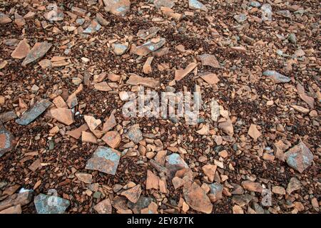 Gemusterter Boden an den Hängen des Tinto Hill in Lanarkshire, Schottland. Stockfoto