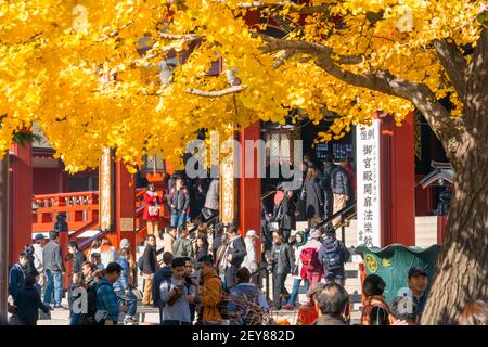 Gläubige vor dem Gokuden im Sensoji-Tempel Asakusa Tokyo. Stockfoto