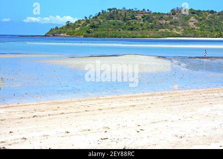 Wunderschöner andilana Strand mit Algen im indischen Ozean Stockfoto