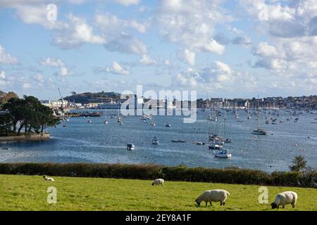 Panoramablick von einem Küstenspaziergang zum weitläufigen Falmouth Hafen mit großen Schiffen und einer Vielzahl von Yachten vertäut Dort Stockfoto