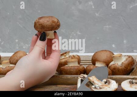 Brauner königlicher Champignon in der Hand. Kochvorgang für Pilze. Stockfoto