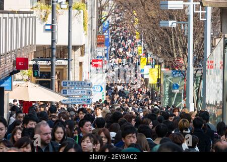 Am Sonntagnachmittag geht die Menschenmenge den Omotesando Harajuku in Jingumae Shibuya Tokyo Japan hinunter. Stockfoto