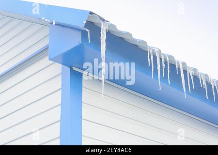 Große Eiszapfen auf dem Dach des Hauses im Winter. Nahaufnahme, selektiver Fokus. Stockfoto