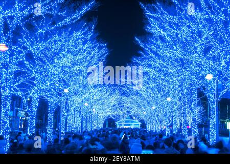 Eine Menschenmenge geht hinunter und macht Fotos in der Blue Cave Keyaki Namik, die von Millionen Blue LED Lights im Shibuya Tokyo beleuchtet wird. Stockfoto